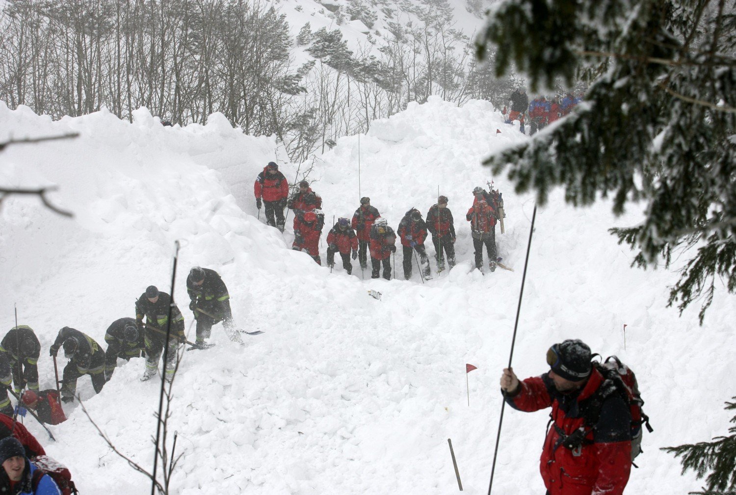 Lawina w czeskich Karkonoszach zabiła narciarza ...