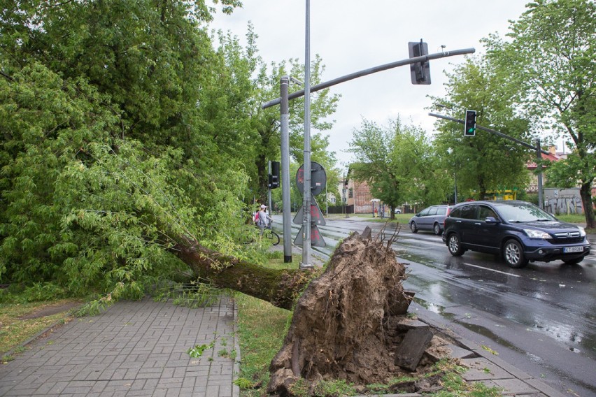 Burza w Tarnowie: połamane gałęzie i drzewa [ZDJĘCIA, WIDEO]
