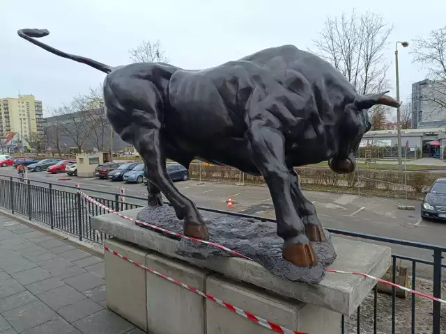 Przed pawilonem przy ul. Żwirki i Wigury w Gliwicach pojawiła się rzeźba byka.