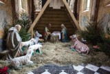Szopki bożonarodzeniowe w kościołach na Pomorzu [ZDJĘCIA]