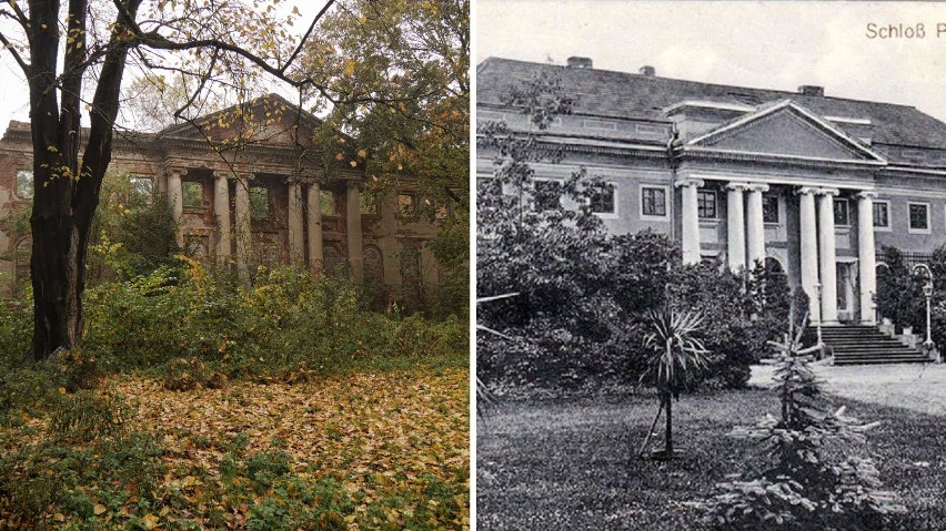 Ruiny pałacu w Pątnowie blisko Legnicy na Dolnym Śląsku. Tajemnicza budowla ukryta w środku lasu robi ogromne wrażenie! ZDJĘCIA