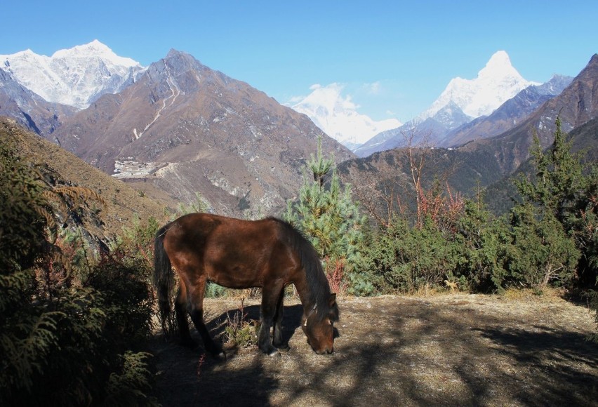 Park Narodowy Sagarmatha utworzony został w 1976 r. a w...