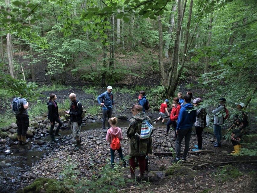 Bioblitz - niezwykłe warsztaty przyrodnicze w gminie Somonino  ZDJĘCIA