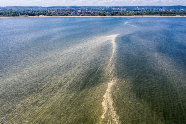 Żółta woda w Bałtyku