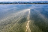 Żółty osad na morskiej wodzie to nie sinice! To efekt tzw. siarczystego deszczu nad Zatoką Gdańską. To zjawisko powtarza się każdego roku!