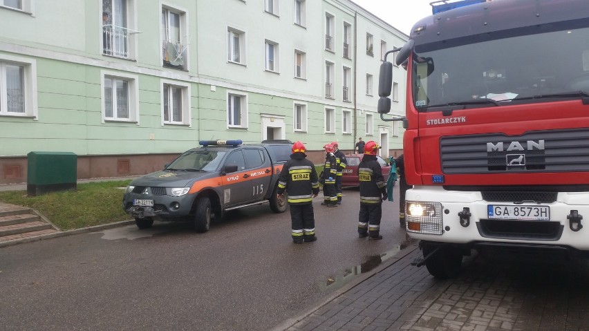 Gdynia. Osierocony pies wył w domu po śmierci właściciela [ZDJĘCIA]