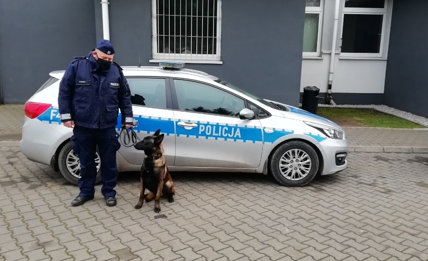 Nowy pies policyjny w szeregach Komendy Powiatowej Policji w Radomsku [ZDJĘCIA]