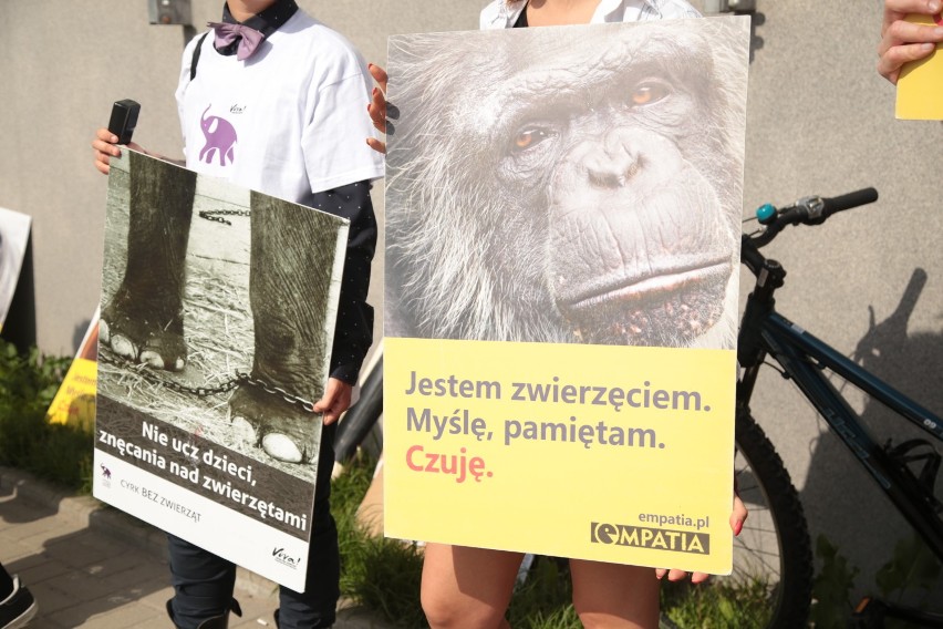 „Nie dla cyrku ze zwierzętami”. Warszawski protest pod...