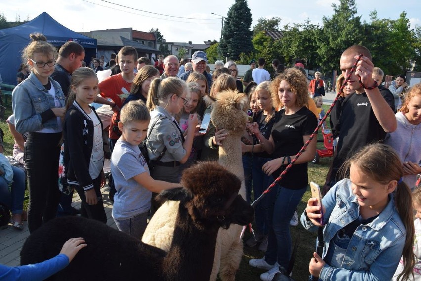 Święto Pieczonego Ziemniaka na Osiedlu Zachodnim [ZDJĘCIA]