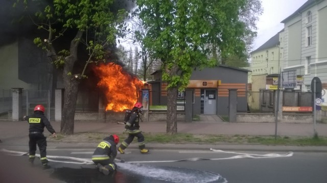 Zdjęcia nadesłane przez czytelnika