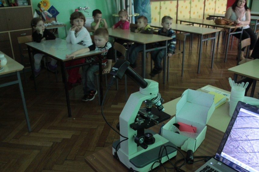 W Szkole Podstawowej nr 3 w Puławach trwają Dni Otwarte