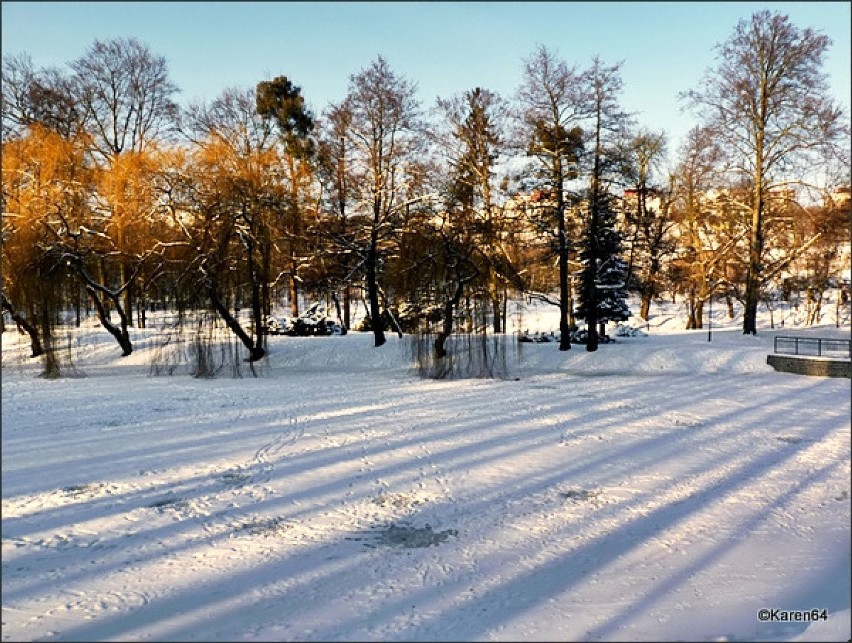 Zima w Parku Oruńskim