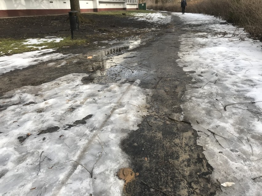 Śnieg odkrywa niemiłe niespodzianki. Wybierając się na spacer trzeba patrzeć pod nogi.