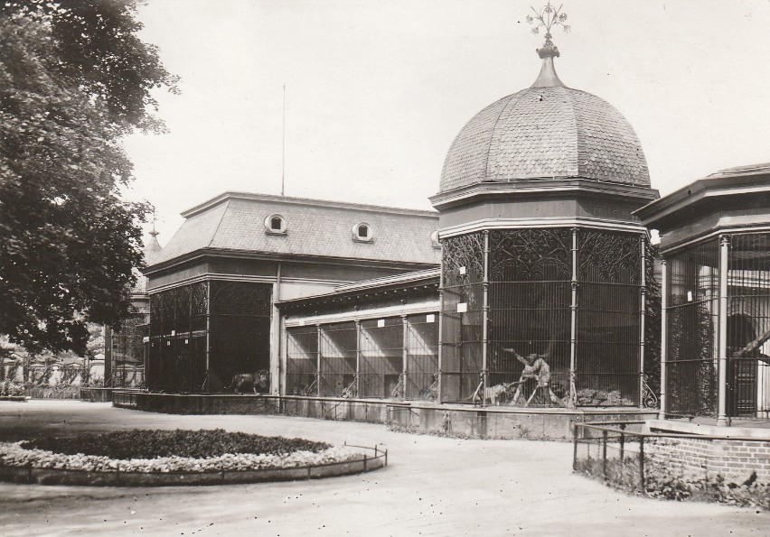 Pawilon wielkich drapieżców ok 1895 / fot. archiwum ZOO Wrocław