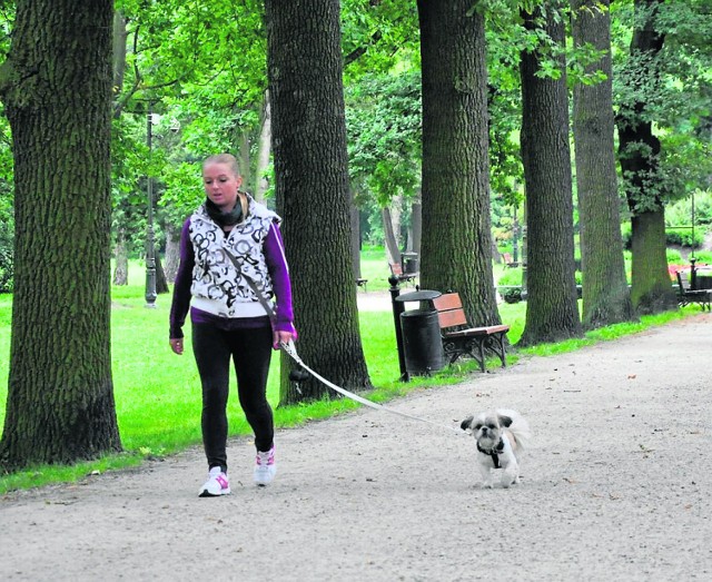 Na Kluczborskich Błoniach powstanie psi park, a w parku miejskim - zielony labirynt.