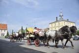 Jutrosin. Po raz kolejny pojechali śladami Czartoryskich. Konny rajd po ziemi jutrosińskiej [ZDJĘCIA]