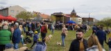 WRZEŚNIA: Festiwal Psów - na Wrzosowej pełno dziś czworonogów. Jaki jest cel wydarzenia? [FOTO]
