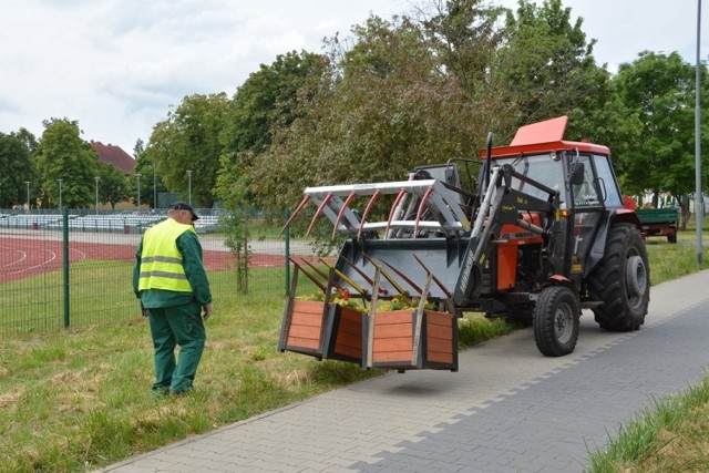 Drewniane donice z kwiatami stawiała na ulicach Sulechowa firma SUPeKom