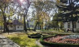 Inowrocławskie Solanki jesienią. O tej porze roku park wygląda szczególnie pięknie [zdjęcia]