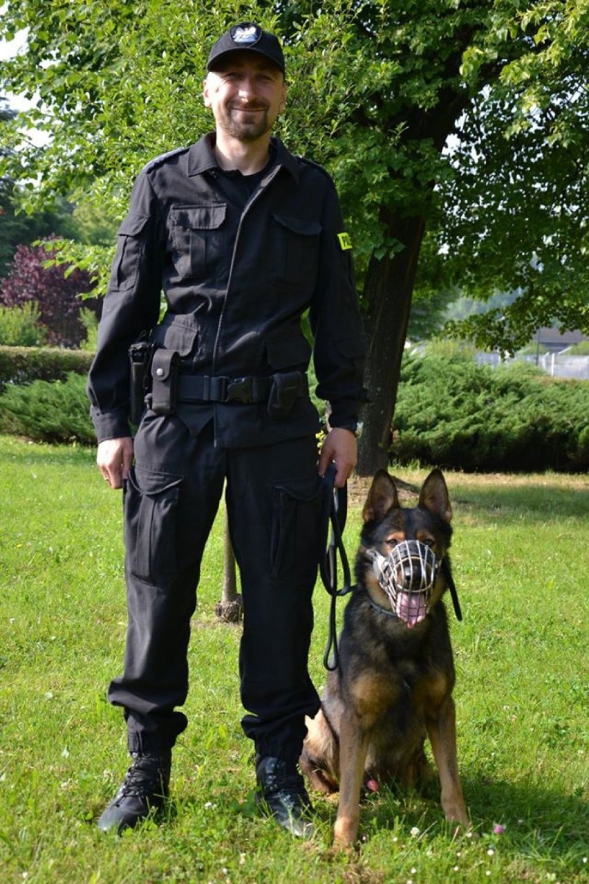 Policjant z Krakowa najlepszym przewodnikiem psa patrolowo-tropiącego w Małopolsce