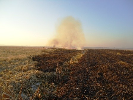 Straż w powiecie chodzieskim walczy z wypalaniem łąk [FOTO]