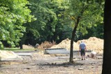 Park Hutniczy – trwa rewitalizacja najstarszego parku w Zabrzu. Powstanie tu wodny plac zabaw dla najmłodszych i skatepark