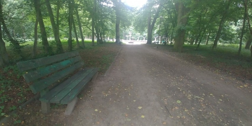 Park Kopernika w Gorzowie wkrótce odzyska blask