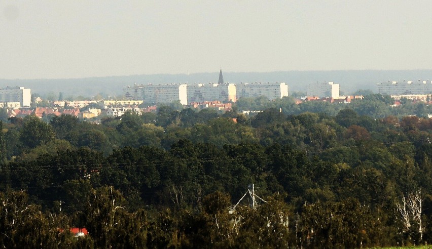 Tak wygląda na zdjęciach Legnica widziana z Kozic i Babina