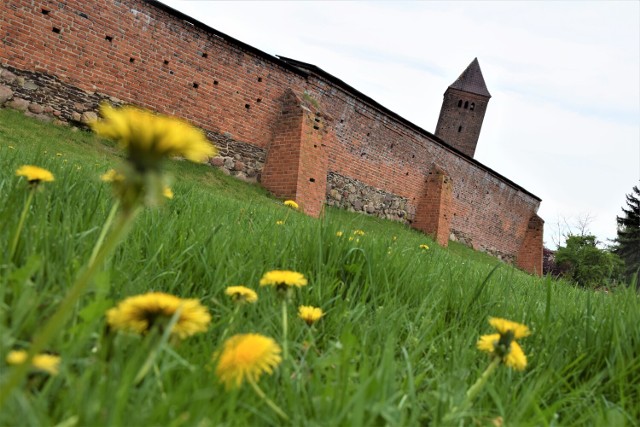 Byczyna jest miastem położonym kilka kilometrów od granicy województwa łódzkiego z opolskim