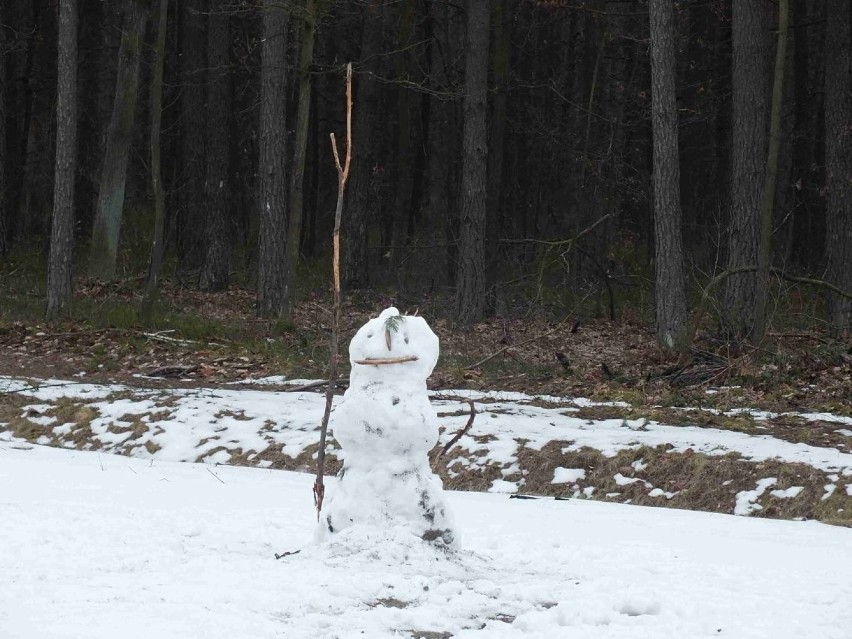 Być może już ostatni bałwan tej zimy stanął w niedzielę, w...