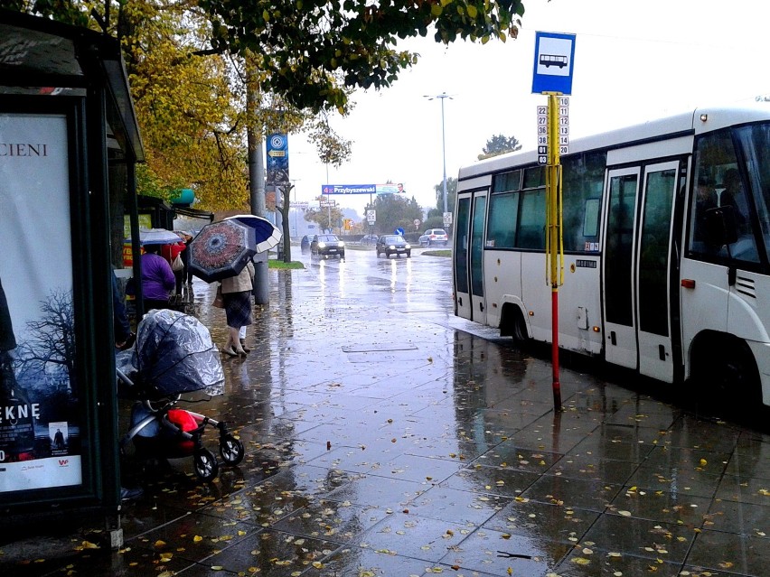 Zrobilło się jesiennie i deszczowo na toruńskich ulicach