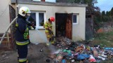Pożar kotłowni gaszono w Wartkowicach. Jakie szczegóły strażackiej interwencji? ZDJĘCIA