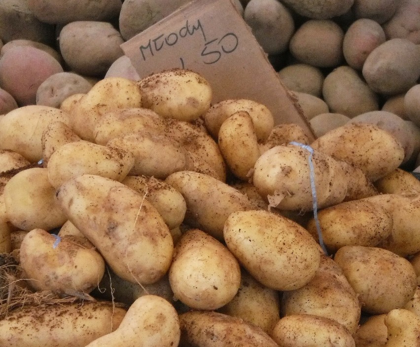 Młode ziemniaki kosztowały 4,50 za kilogram