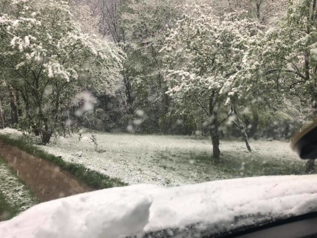 W maju w Jaszczurowej spadł śnieg