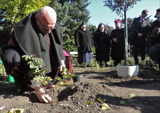 W Markowicach sadzono już róże, czas, by powstał Ogród Modlitwy o Pokój