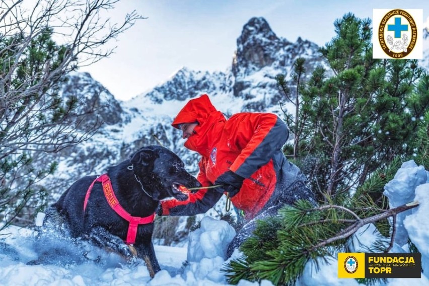 Tatry. Zobaczcie jak ratownicy TOPR i Horskiej Zachrannej Służby szkolą swoje psy lawinowe 