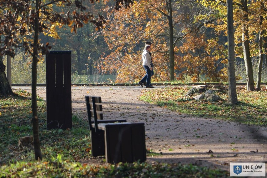 Polska złota jesień w Parku Zamkowym w Uniejowie. Idealny czas na spacery ZDJĘCIA