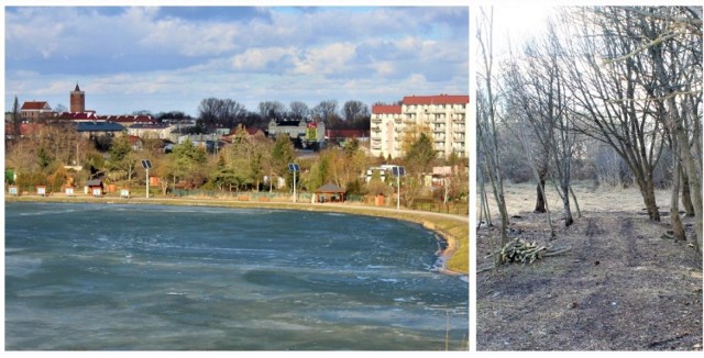 Trwa porządkowanie terenu pod sztuczną plażę (m.in. wycinka krzaków)