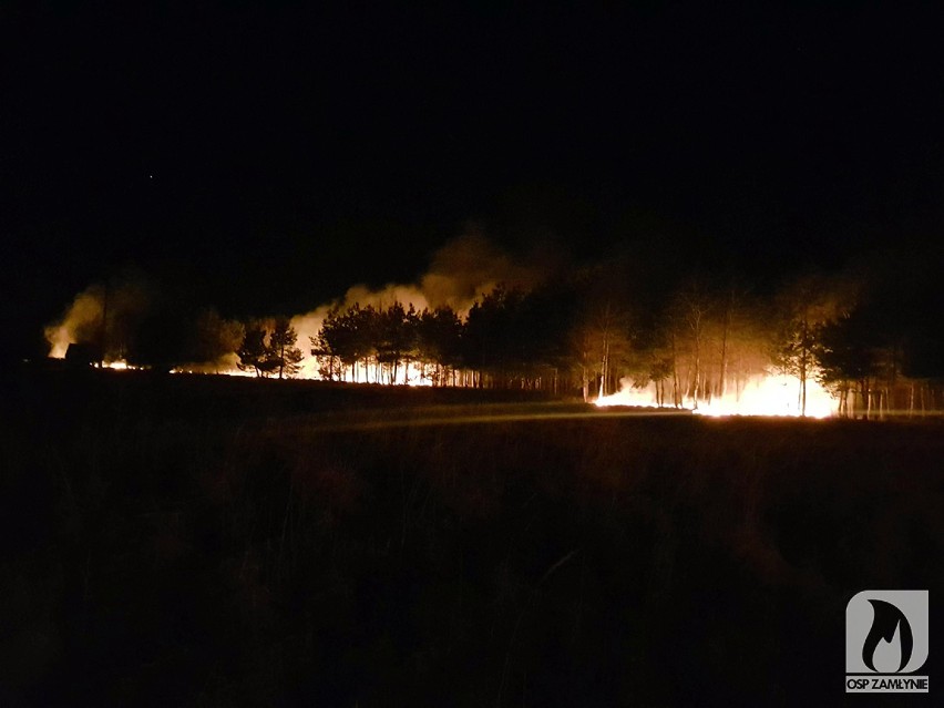 Powiat pustoszą pożary traw - seria podpaleń w Kulejach ZDJĘCIA