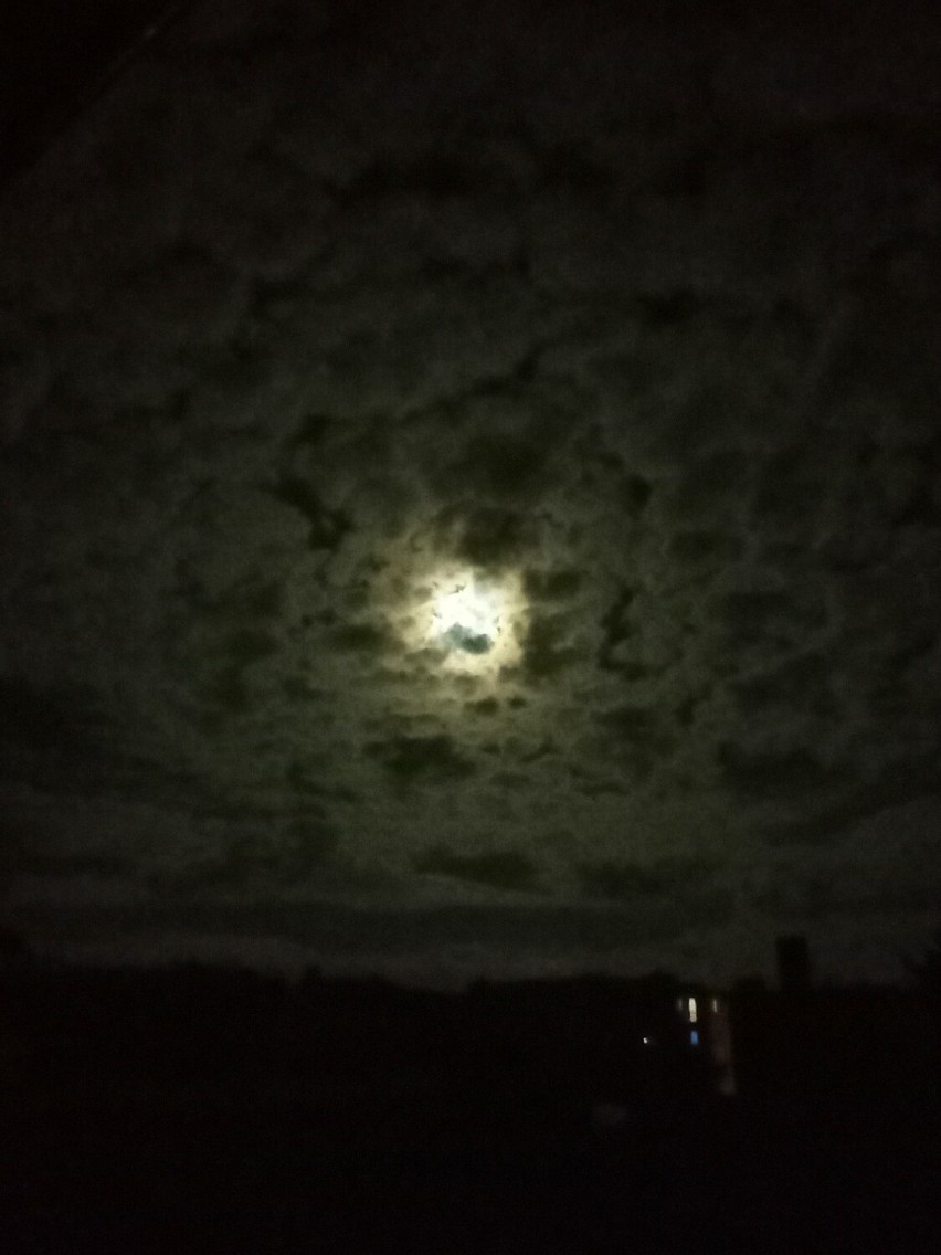 Nocne niebo nad Sulechowem