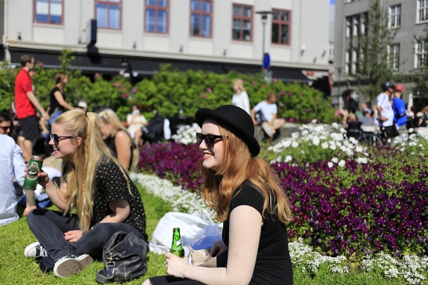 Warszawskie Dni Rodzinne 2019. Spotkania z alpakami,...