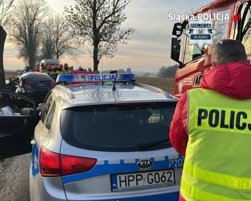Śmiertelny wypadek w Żernicy. Samochód osobowy wypadł z drogi i wbił się w drzewo. Nie żyją trzy osoby