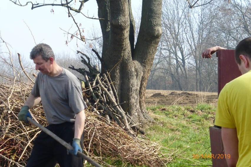 Mieszkańcy Dobrzenia posprzątali na wiosnę (ZDJĘCIA) 