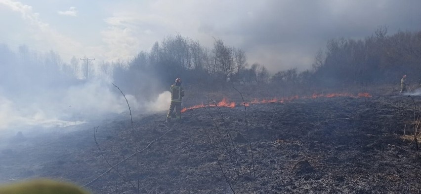 Pożar traw w Zielonkach na granicy z Krakowem