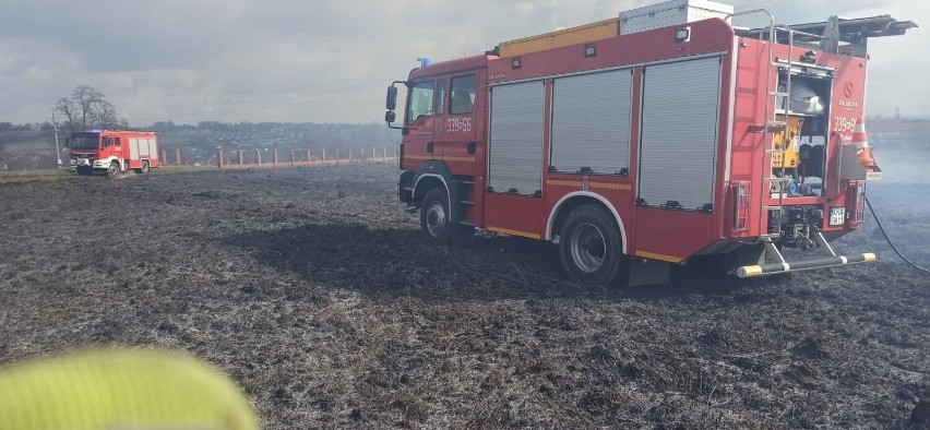 Pożar traw w Zielonkach na granicy z Krakowem