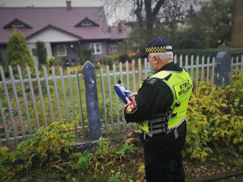 Palisz śmieci w piecu? Możesz dostać mandat. Kontrole Straży Miejskiej w Białymstoku