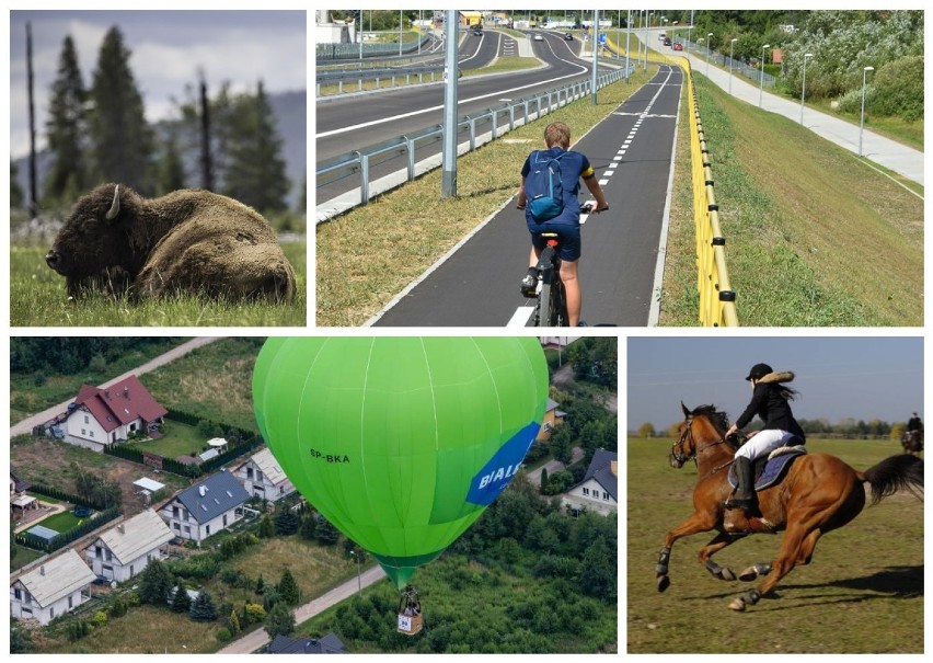 Jak spędzać aktywnie czas na Podlasiu? Przedstawiamy...