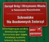 Schronisko dla bezdomnych zwierząt w Tomaszowie Maz. wreszcie jest monitorowane