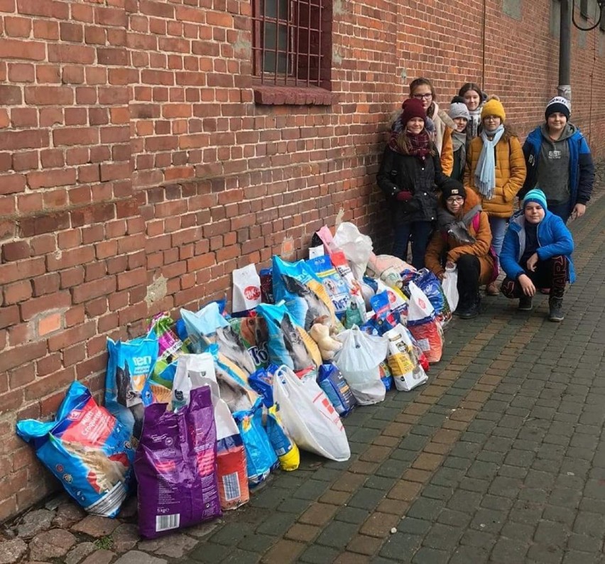 Uczniowie ze szkoły w Gardei zebrali prawie 300 kg karmy i pieniądze dla kwidzyńskich Animalsów 