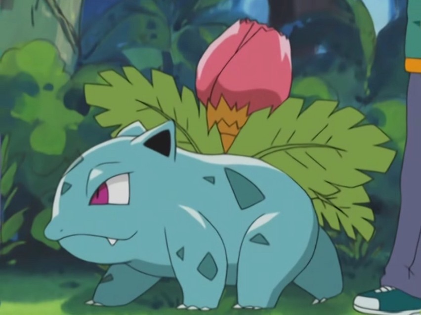 Sprawdź czy złapałeś już wszystkie Pokemony! 

2. Ivysaur